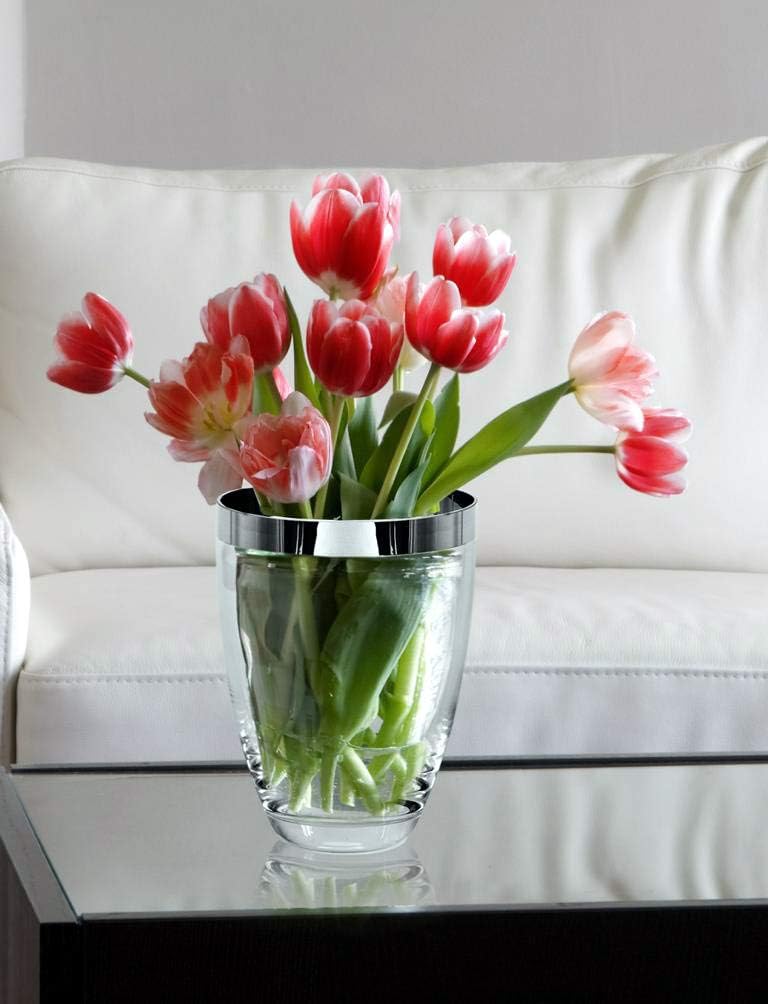 EDZARD Vase Charlotte (Ø 15 cm, Höhe 20 cm) aus mundgeblasenem Kristallglas - Blumenvase, Glasvase r