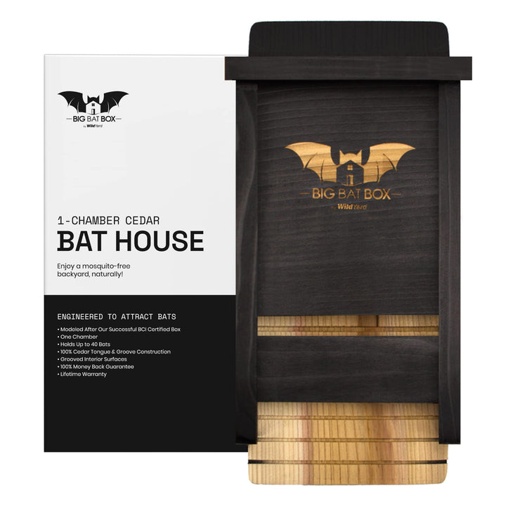Bat House for Outdoors - Der Komplette Fledermauskasten für den Aussenbereich - Säubere deinen Garte