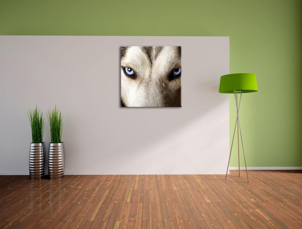 Husky eisblaue Augen, Format: 70x70 auf Leinwand, XXL riesige Bilder fertig gerahmt mit Keilrahmen,