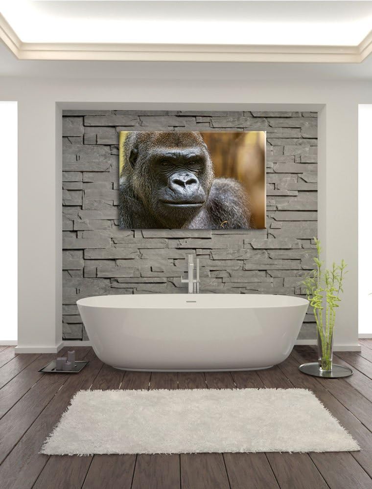Pixxprint stolzer Gorilla auf Leinwand, XXL riesige Bilder fertig gerahmt mit Keilrahmen, Kunstdruck