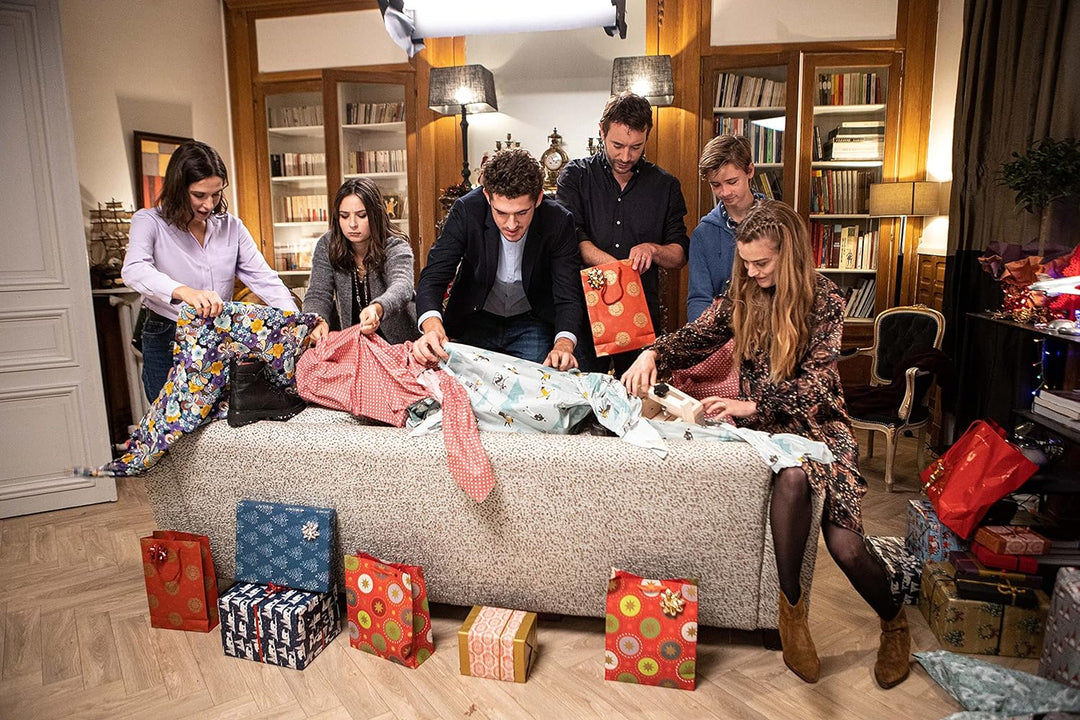 Fais pas ci fais pas ça - intégrale - saisons 1 à 9 + épisode spécial noël [FR Import], DVD