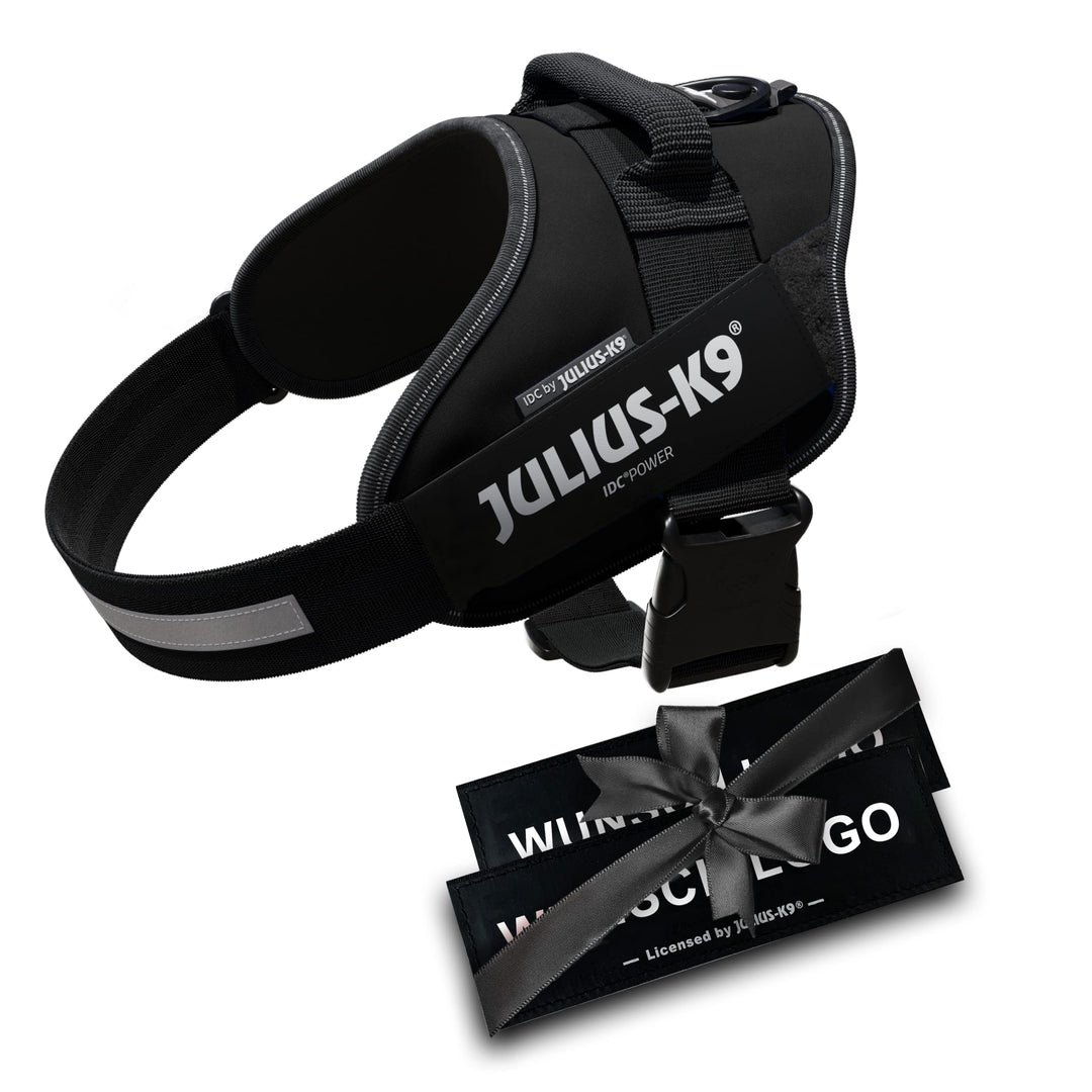 JULIUS K-9 IDC Powergeschirre Schwarz mit individuelle Klettaufschriften Bundle optionale Grösse, Sc