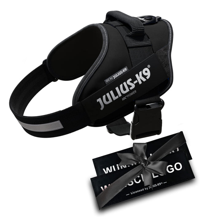 JULIUS K-9 IDC Powergeschirre Schwarz mit individuelle Klettaufschriften Bundle optionale Grösse, Sc