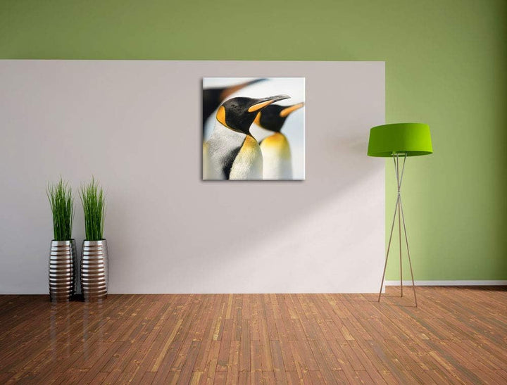Pinguine, Format: 70x70 auf Leinwand, XXL riesige Bilder fertig gerahmt mit Keilrahmen, Kunstdruck a