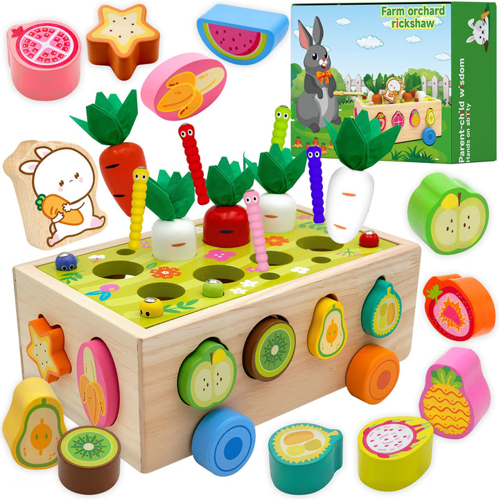 RunHero Montessori Holz Sortierspie Karotten Steckspiel Holzspielzeug ab 1 Jahr Holztiere Motorikspi
