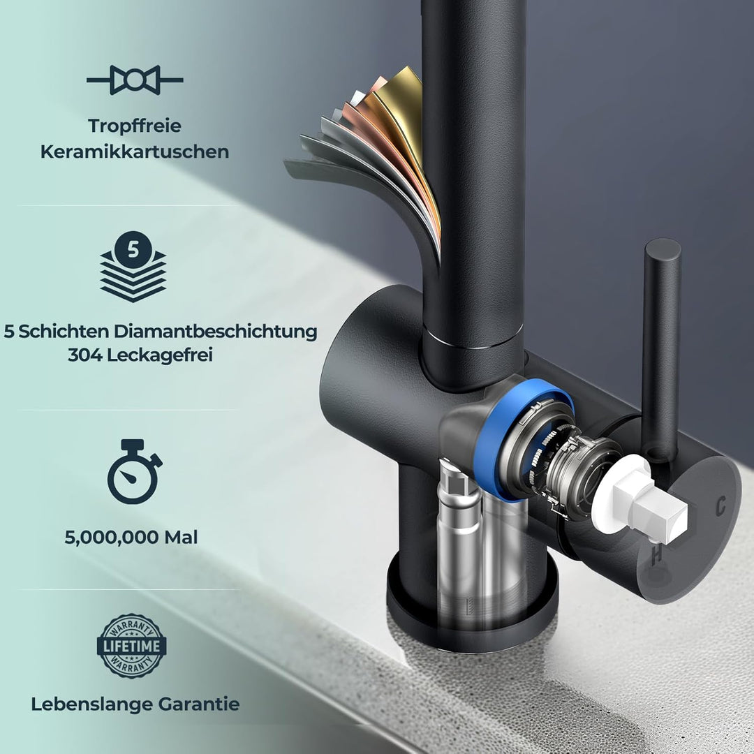 FORIOUS Küchenarmatur Schwarz, Wasserhahn Armatur Küche Ausziehbar Brause Edelstahl, Einhebel Mischb