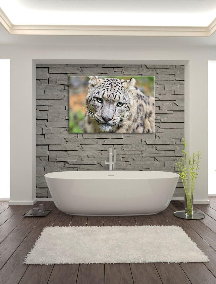 Pixxprint eleganter Schneeleopard auf Leinwand, XXL riesige Bilder fertig gerahmt mit Keilrahmen, Ku