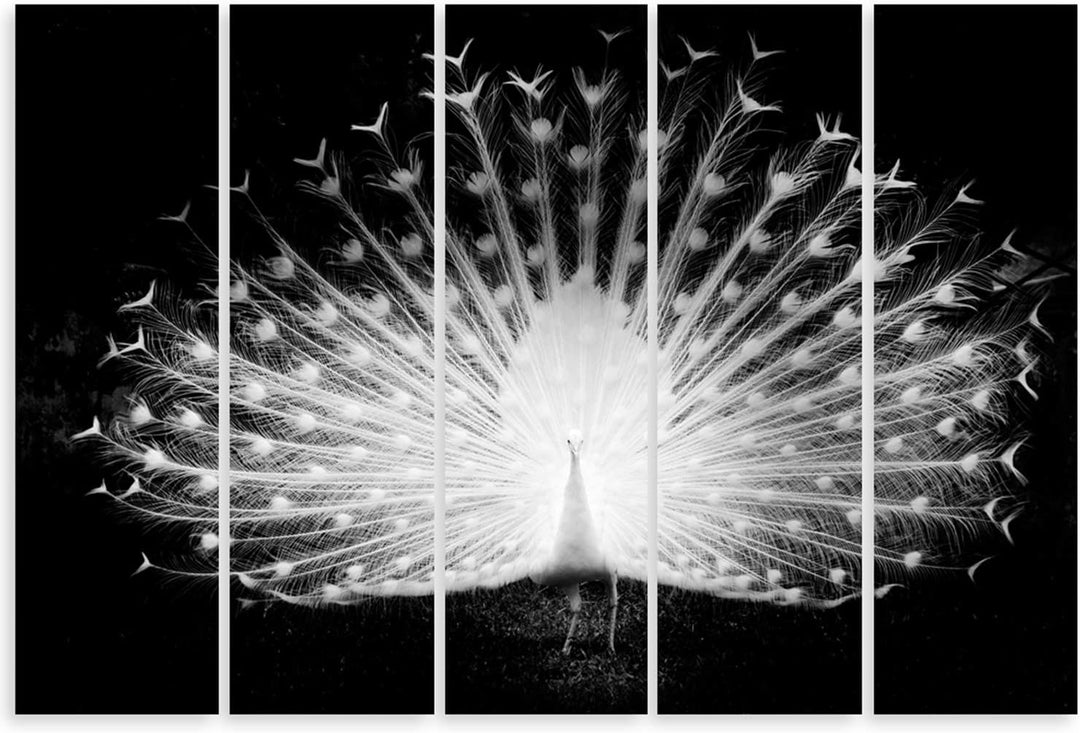 Feeby. Leinwandbild - 5 Teile - Bilder, Wand Bild, Wandbilder, Kunstdruck XXL, 5-Teilig, Typ C, 100x