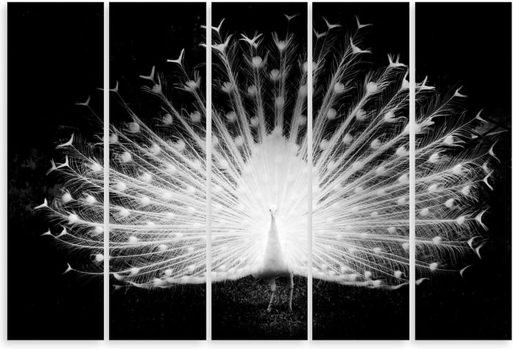 Feeby Frames, Leinwandbild, Bilder, Wand Bild - 5 Teile - Wandbilder, Kunstdruck XXL, Typ C, 250x120