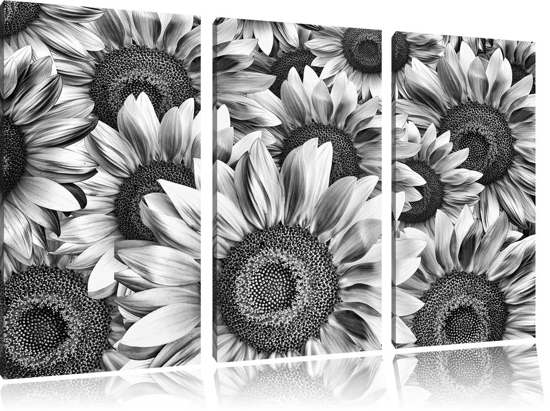 Pixxprint Sonnenblumentraum als Leinwandbild/Grösse: 3 Teilig (120x80) cm/Wandbild/Kunstdruck/fertig