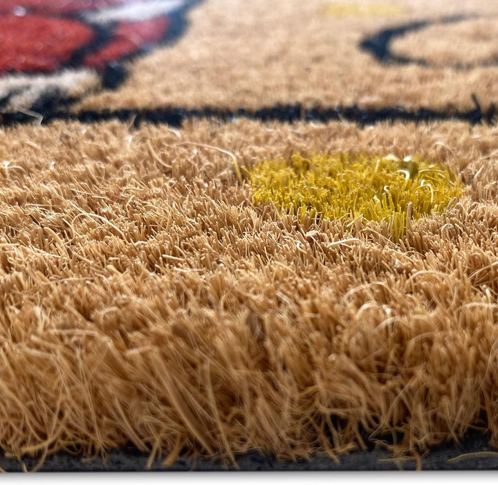 CARPETIA Schuhabtreter aus Kokos langlebig | umweltfreundlich | Kätzchen orange gelb, 45 x 75 cm 45