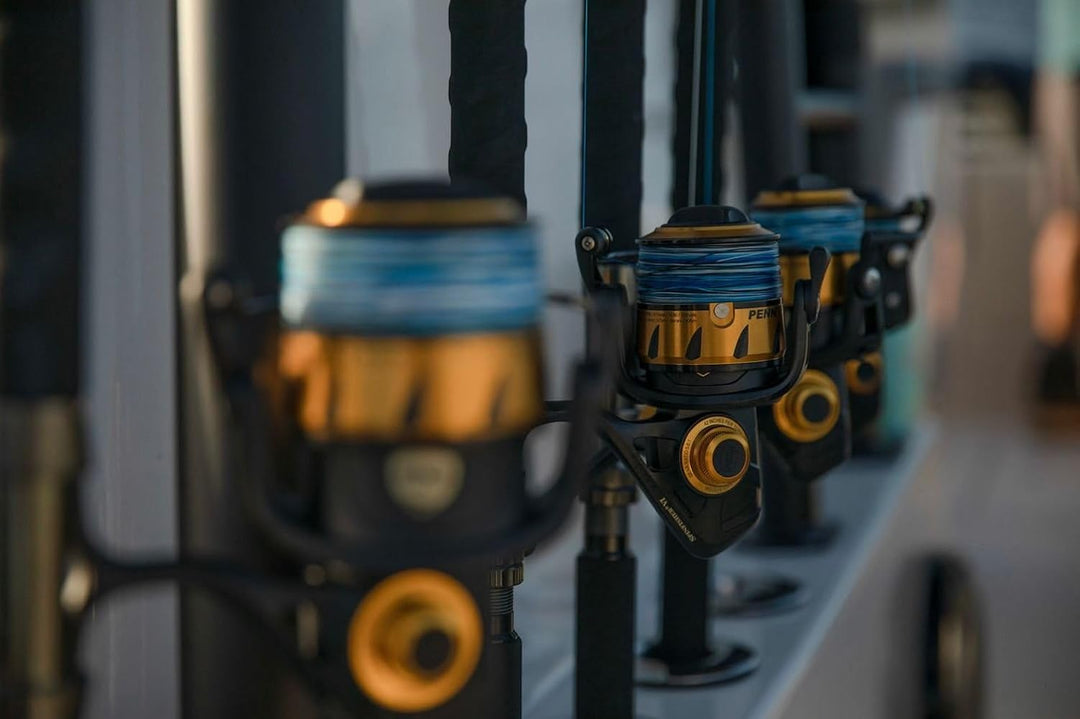 PENN Spinfisher VI Spinnrolle 2500 Live Liner, 2500 Live Liner