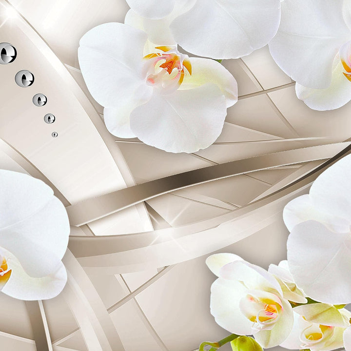 Runa Art Wandbilder Blumen Orchidee 5 Teilig Bild auf Vlies Leinwand Deko Wohnzimmer Abstrakt Beige