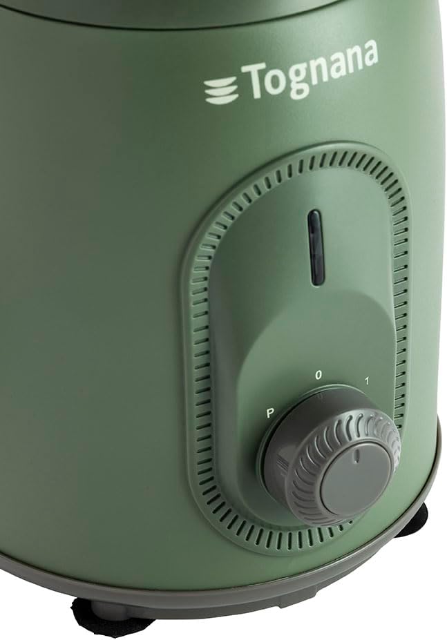 Tognana Iridea Standmixer mit 4 Klingen, Salbeigrün