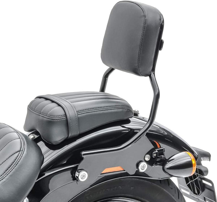 Sissybar R1S für Harley Softail Standard 20-24 mit Gepäckträger und Docking