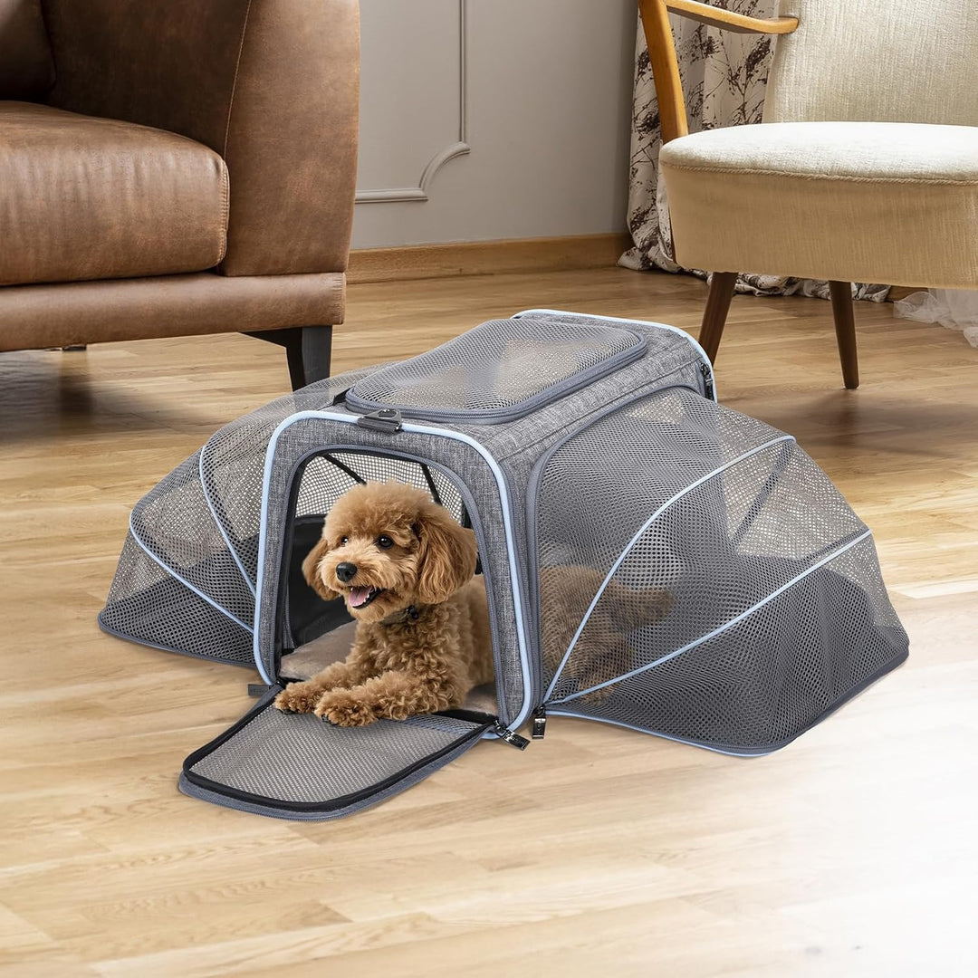 Petsfit Faltbarer Transporttasche Katze und Hund,erweiterbare Katzentransportbox mit Schultergurt Hu