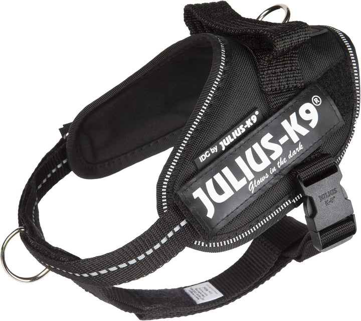 Julius-K9 16IDC-PBGHS-MM IDC Powergeschirr, Hundegeschirr mit Front Control Y-Gurt, Grösse: Mini-Min