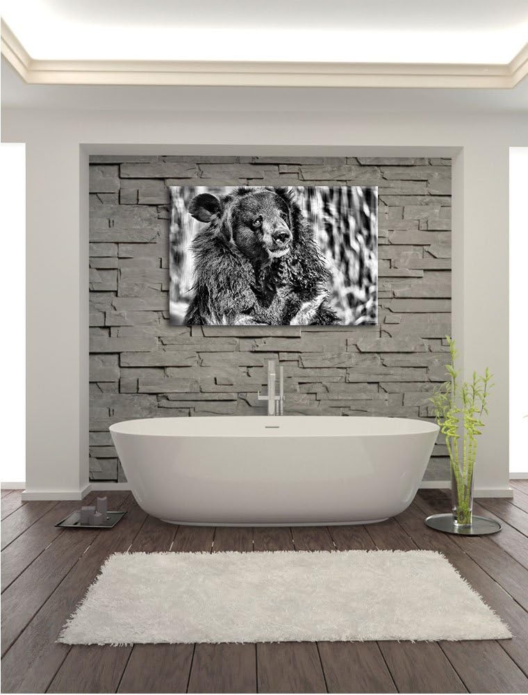 Pixxprint Nasser Malaien Bär als Leinwandbild/Grösse: 100x70 / Wandbild/Kunstdruck/fertig bespannt,