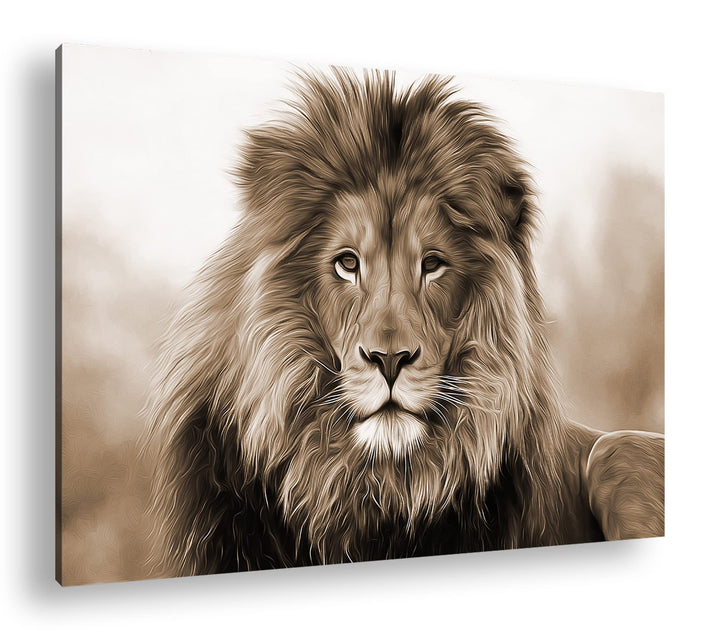 deyoli Stolzer Löwe Effekt: Sepia Format: 80x60 als Leinwandbild, Motiv fertig gerahmt auf Echtholzr