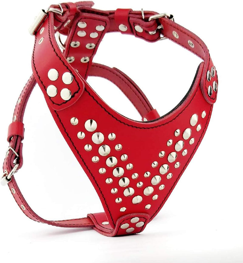 Bestia "Star&