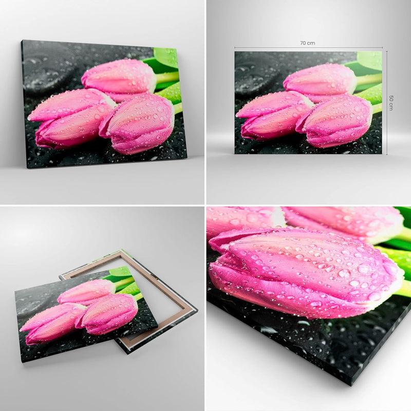 Bilder auf Leinwand Tulpen Tau Steine Pflanze Leinwandbild 70x50cm Wandbilder Dekoration Wohnzimmer