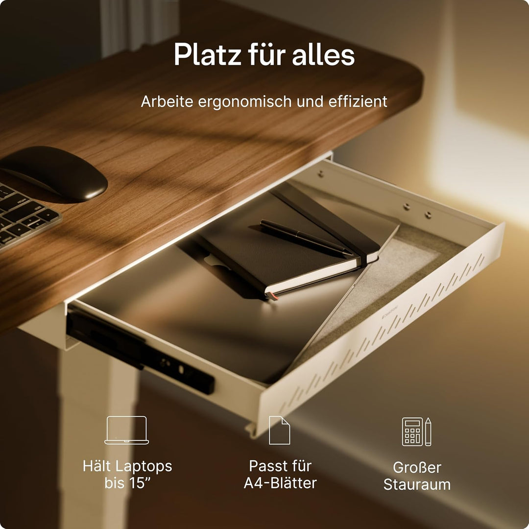 Desktronic Schreibtisch-Organizer, Untertisch-Aufbewahrungsbox, Schreibtisch für Büro Schule Homeoff