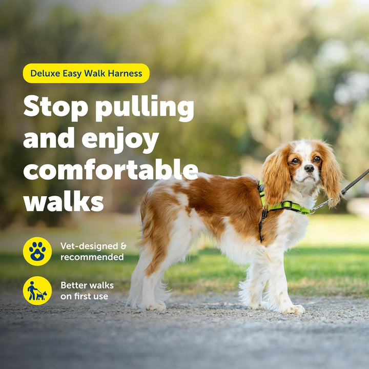 PetSafe Deluxe Easy Walk Hundegeschirr apfelgrün Small, apfelgrün Small