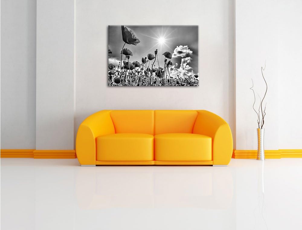 Monocrome, Mohnblumen, Format: 100x70 auf Leinwand, XXL riesige Bilder fertig gerahmt mit Keilrahmen