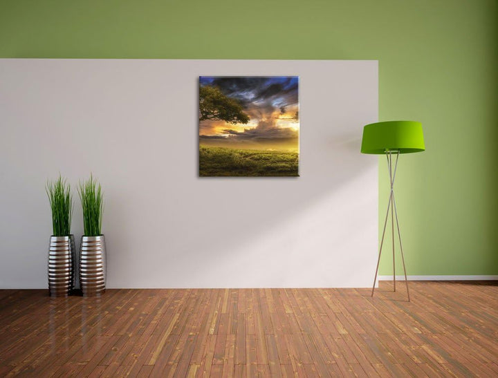 Einsamer Baum schwarz weiss, Format: 70x70 auf Leinwand, XXL riesige Bilder fertig gerahmt mit Keilr