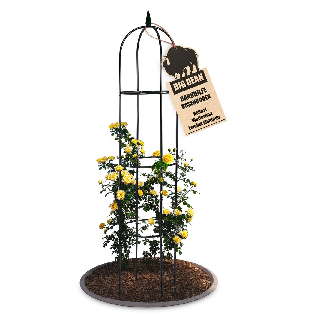 BigDean Rankgitter Metall Rosen Spalier 1,93 hohe Rankhilfe Garten