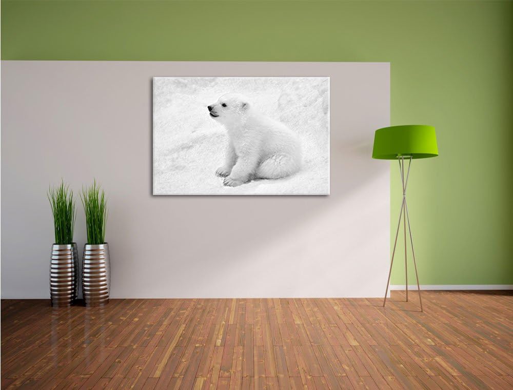 Pixxprint Eisbär Baby als Leinwandbild/Grösse: 100x70 cm/Wandbild/Kunstdruck/fertig bespannt, 100x70