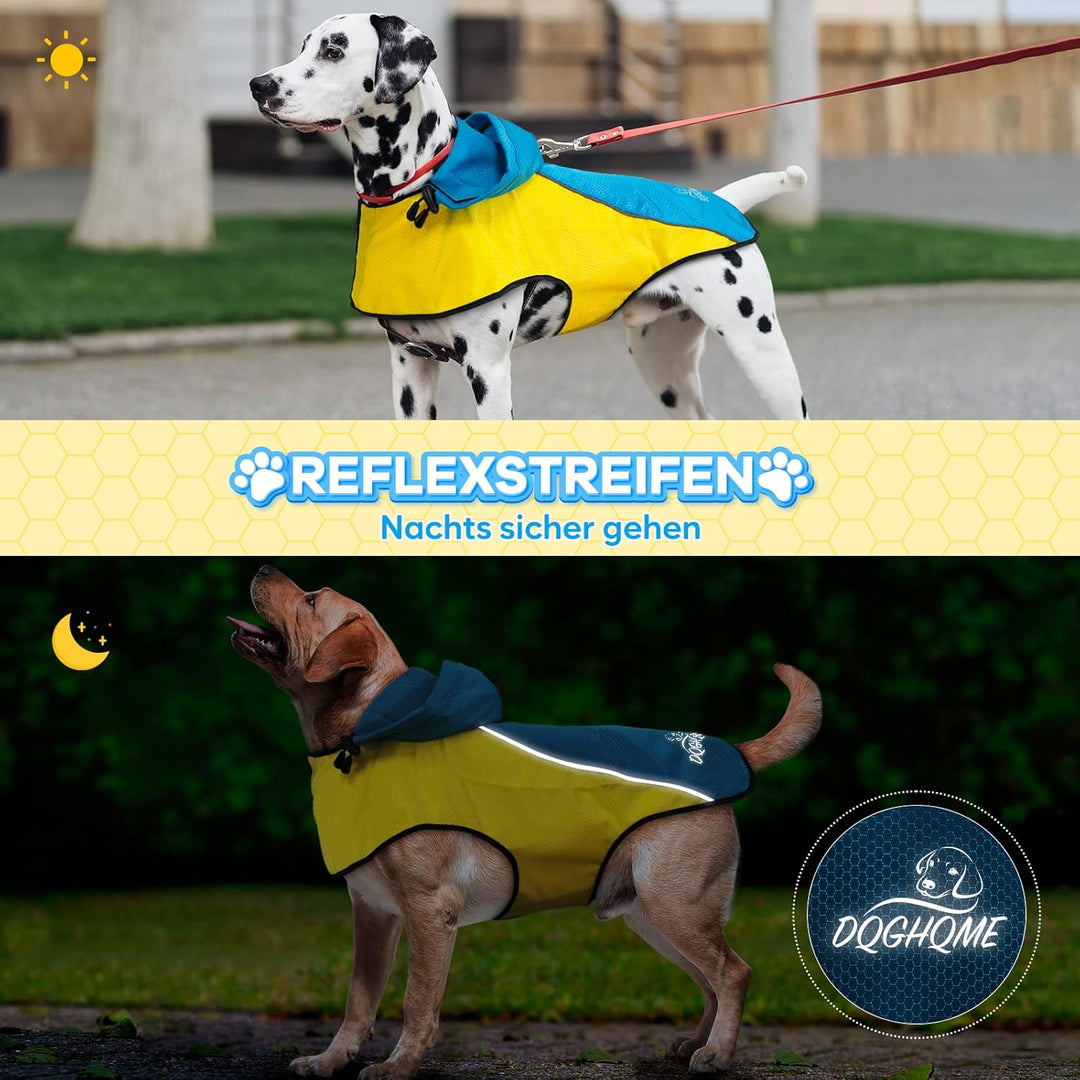 Regenjacke Hund DQGHQME Hunderegenmantel, Regenmantel Hund Wasserdicht, Einstellbare Regencape Hund,