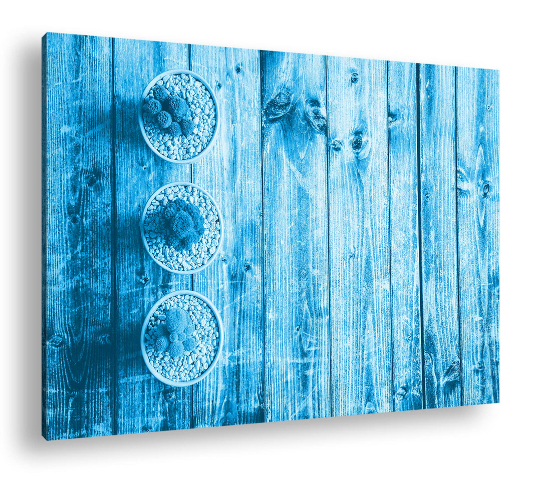 deyoli winzige Kakteen Format: 100x70 Effekt: Monocrome Blau als Leinwand, Motiv fertig gerahmt auf