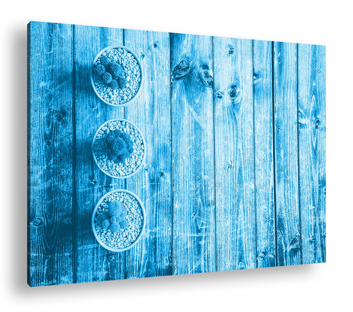 deyoli winzige Kakteen Format: 100x70 Effekt: Monocrome Blau als Leinwand, Motiv fertig gerahmt auf