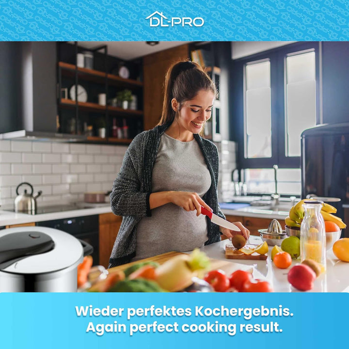 DL-pro Dichtung Schnellkochtopf [Ø 22cm] für WMF Perfect & Perfect Plus 60.6855.9990, 60.6855.9997 -