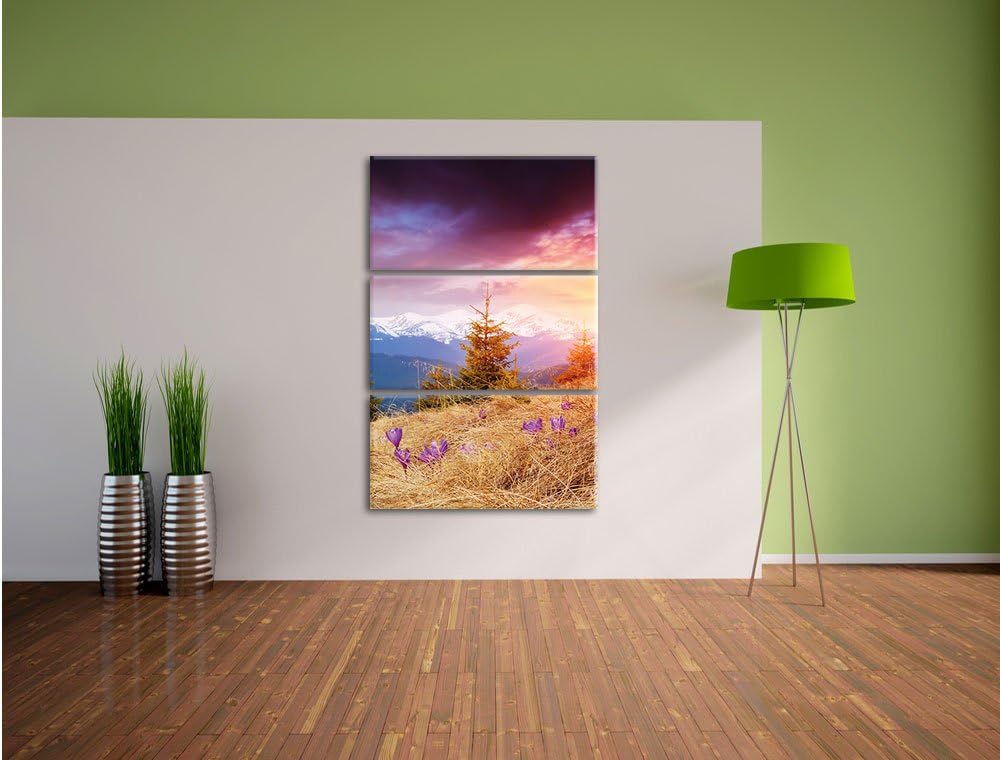 Pixxprint Krokusse auf Hochalmwiese in Alpen 3-Teiler Leinwandbild 120x80 Bild auf Leinwand