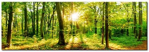 murando Acrylglasbild Wald 120x40 cm 1 Teile Wandbild auf Acryl Glas Bilder Kunstdruck Moderne Wandd