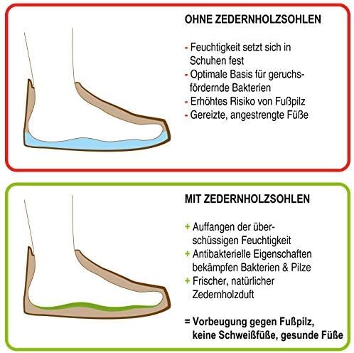 Nawemo 3er Pack/3 Paar Zedernholzsohlen Damen, antibakterielle Zedernholz Einlegesohlen gegen Schwei