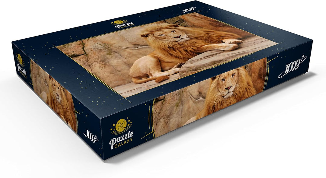 EIN Löwe entspannt auf einem Stein - Premium 1000 Teile Puzzle - MyPuzzle Sonderkollektion von Puzzl