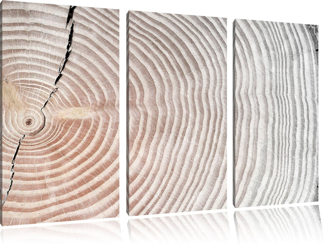 Pixxprint Baumstamm Jahresringe / 3-Teilig/Gesamtmass 120cm Leinwandbild bespannt auf Holzrahmen/Wan