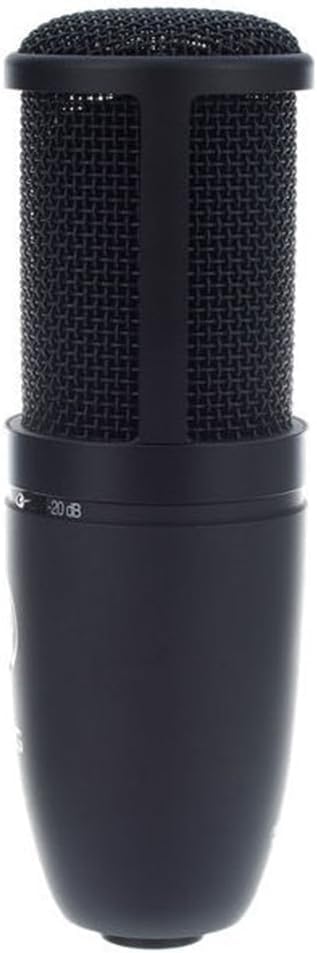 AKG P120 Hochleistungs-Allzweck-Aufnahme-Mikrofon, Studioqualität, Grossmembran, vielseitig einsetzb