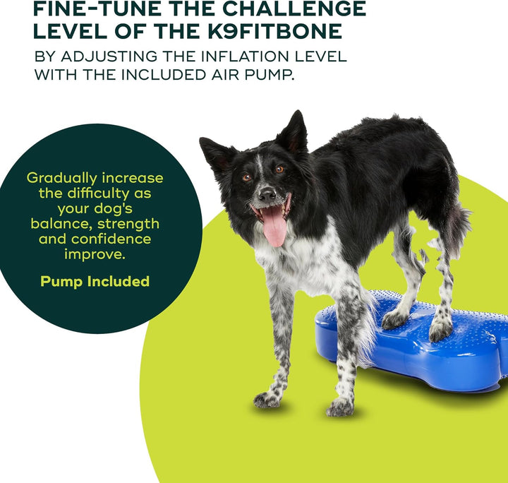 Ball Dynamics FPK9BONE BL K9FITbone, Balance - Trainingsgerät, 58 x 29 x 10m, himmelblau