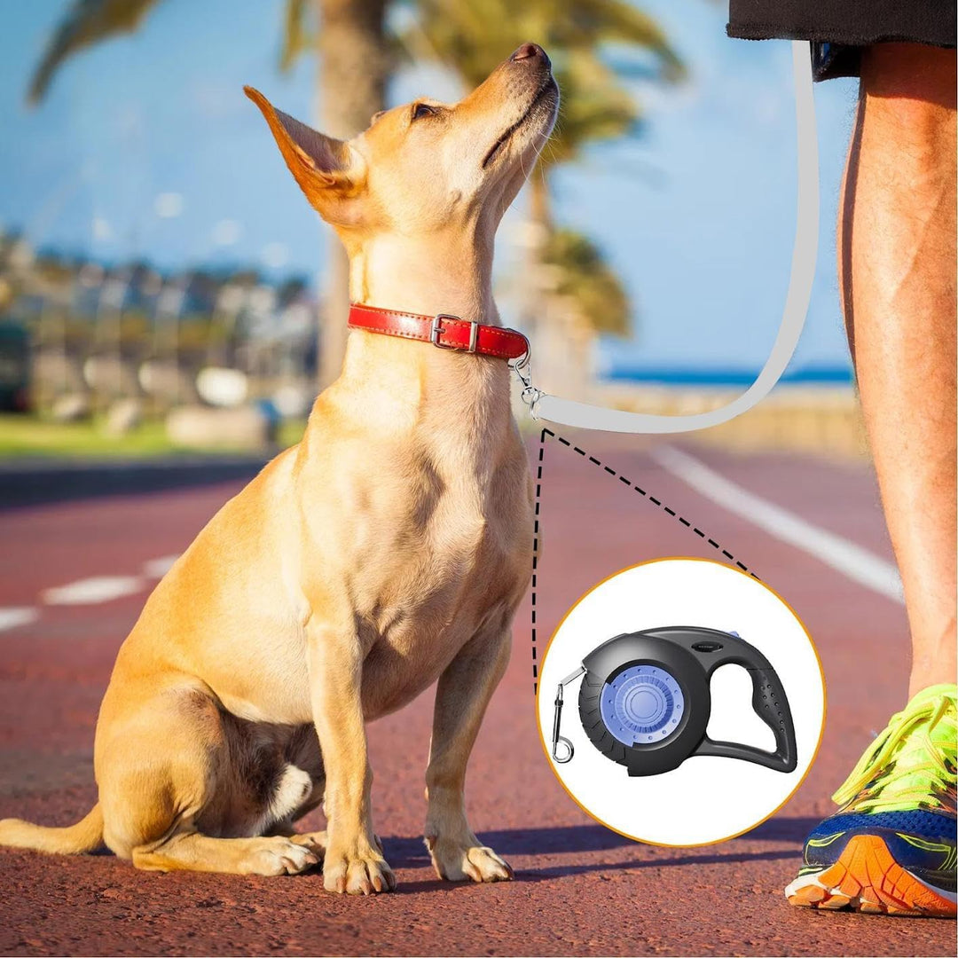 Ausziehbare Hundeleine | Laufband für Welpen 5 m | Führung für mittelgrosse und grosse Rassen mit Br