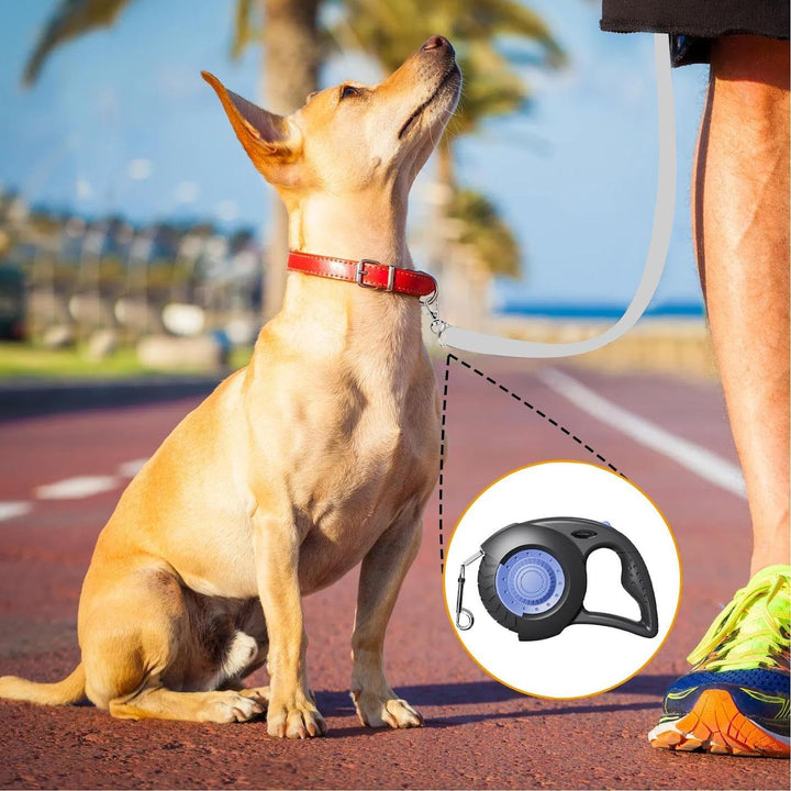 Ausziehbare Hundeleine | Laufband für Welpen 5 m | Führung für mittelgrosse und grosse Rassen mit Br