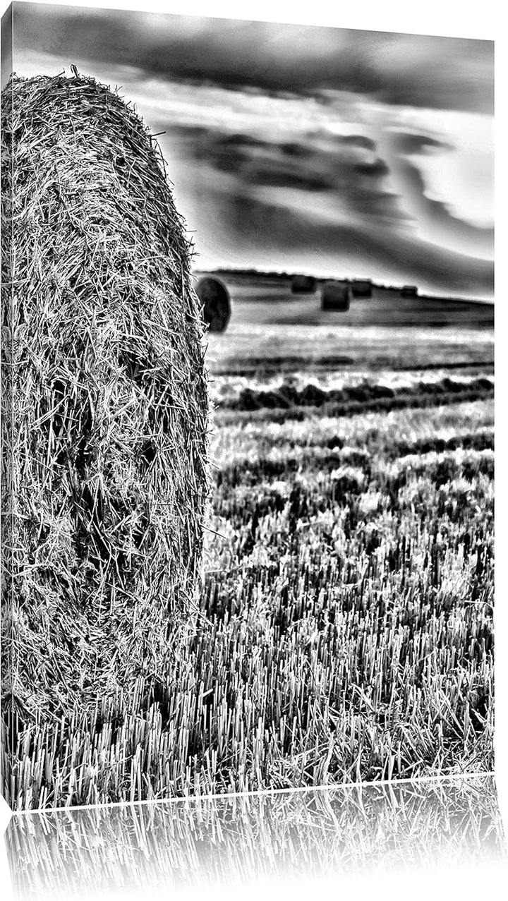 Pixxprint Strohballen auf Feld als Leinwandbild/Grösse: 100x70 cm/Wandbild/Kunstdruck/fertig bespann