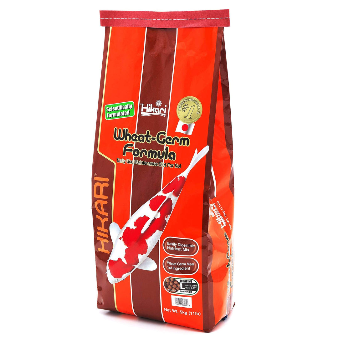 Hikari Koifutter Wheat Germ Large 5 kg
