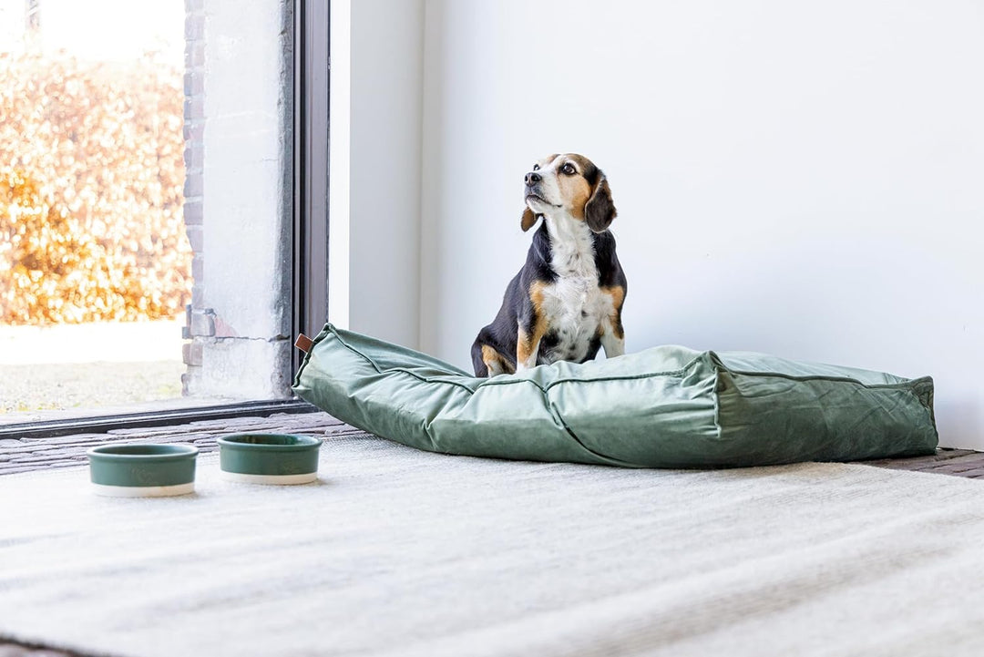 Designed by Lotte DBL Nalino Liegekissen, Hund, Samt, grün, 100x70x15 cm, Grün