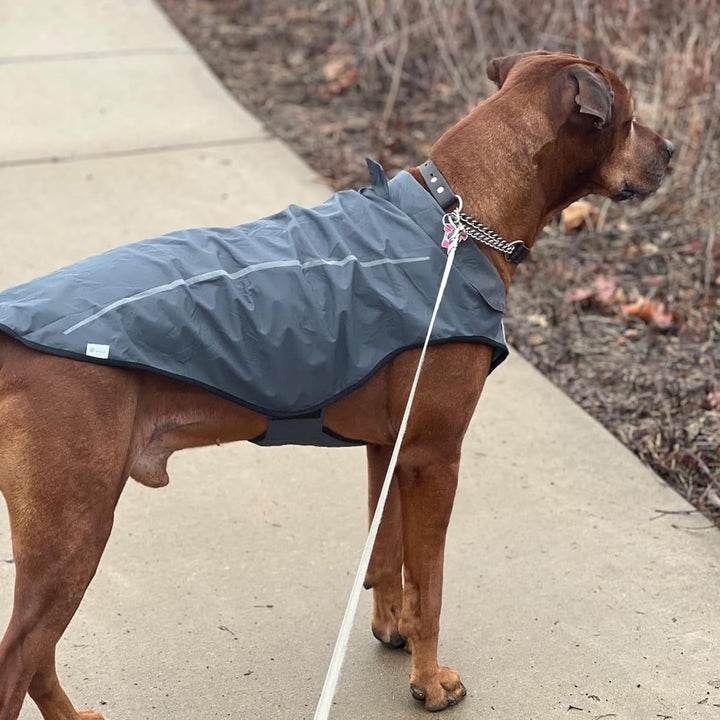 Mile High Life Hunderegenmantel Einstellbare wasserdichte Haustierkleidung Leichte Regenjacke mit re