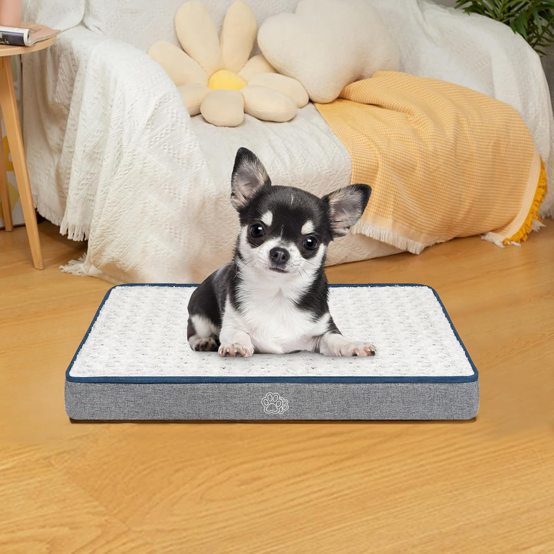 EMPSIGN Hundekissen kleine Hunde waschbar, Hundebett Wasserdicht S 60x45x7,5cm, Hundematte Abnehmbar