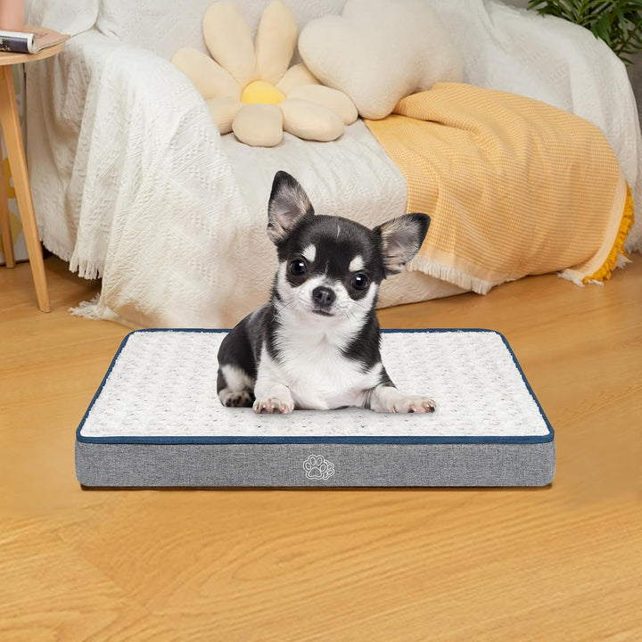 EMPSIGN Hundekissen kleine Hunde waschbar, Hundebett Wasserdicht S 60x45x7,5cm, Hundematte Abnehmbar